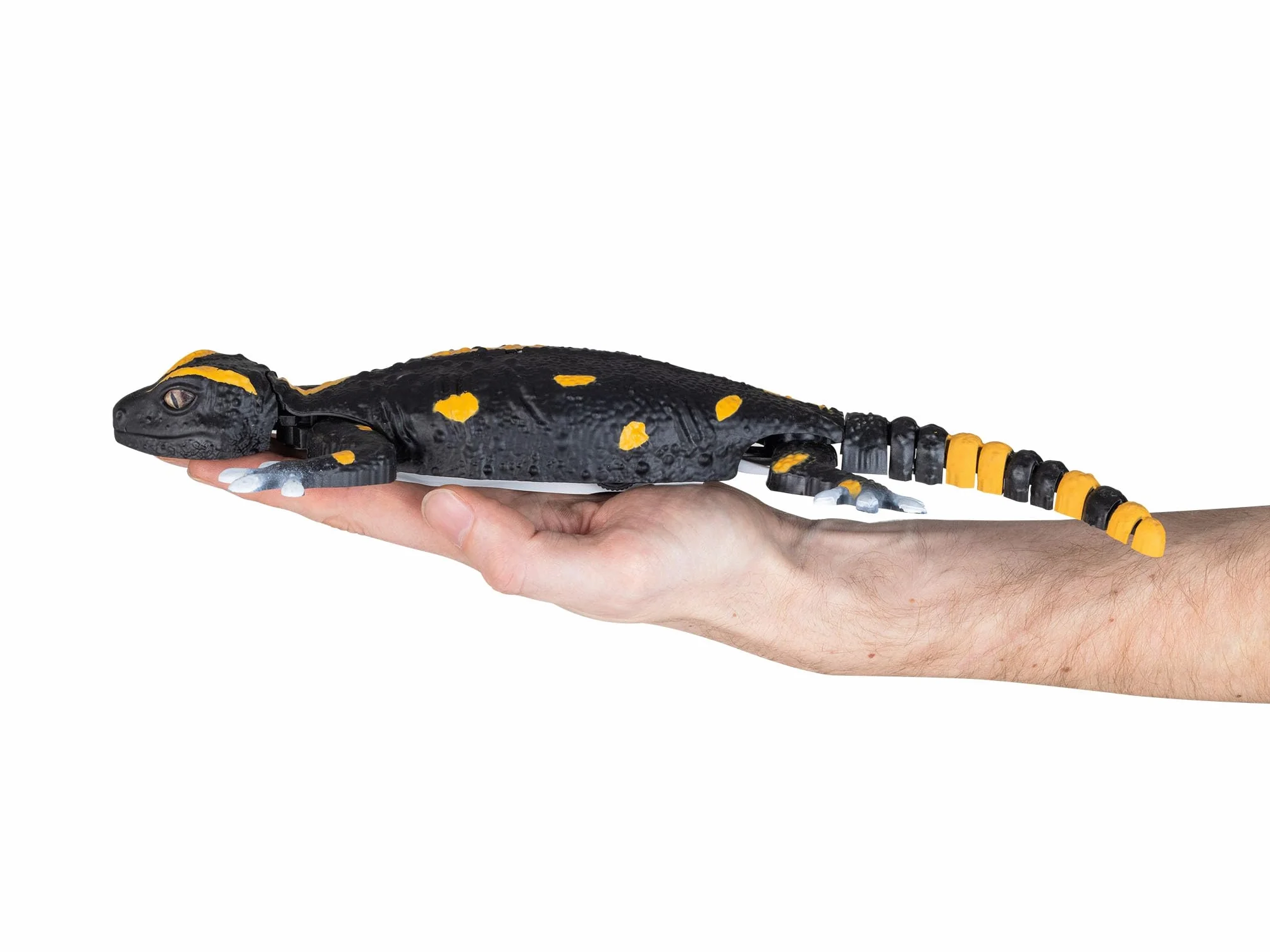 Revell Control Robo Friends RC Salamander, z trybami wspinaczki ściennej i biegania na podłodze, z kontrolą podczerwieni i wydajnym akumulatorem litowo-jonowym