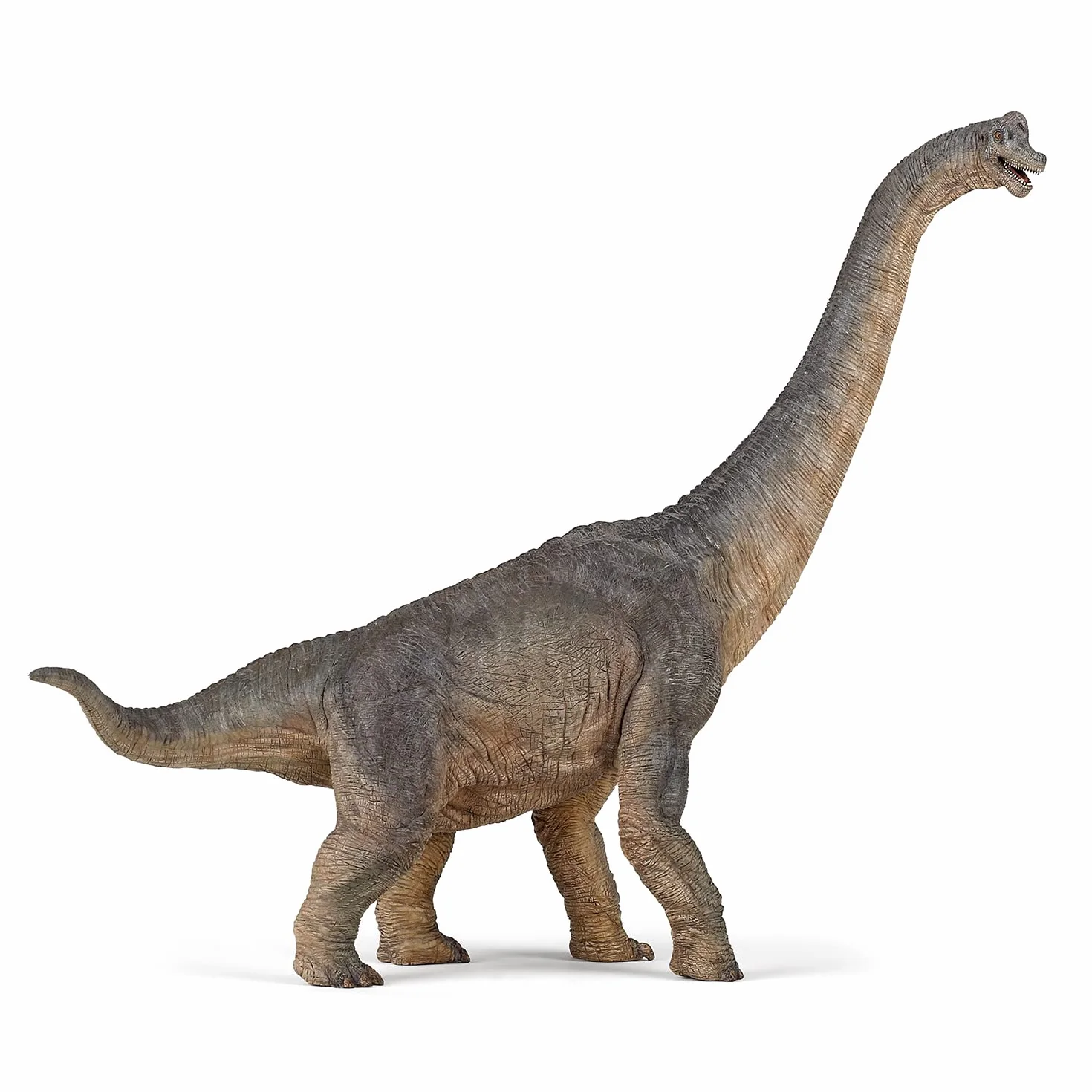 PAPO 55030 dinozaur, figurka brachiozaura, wielokolorowa