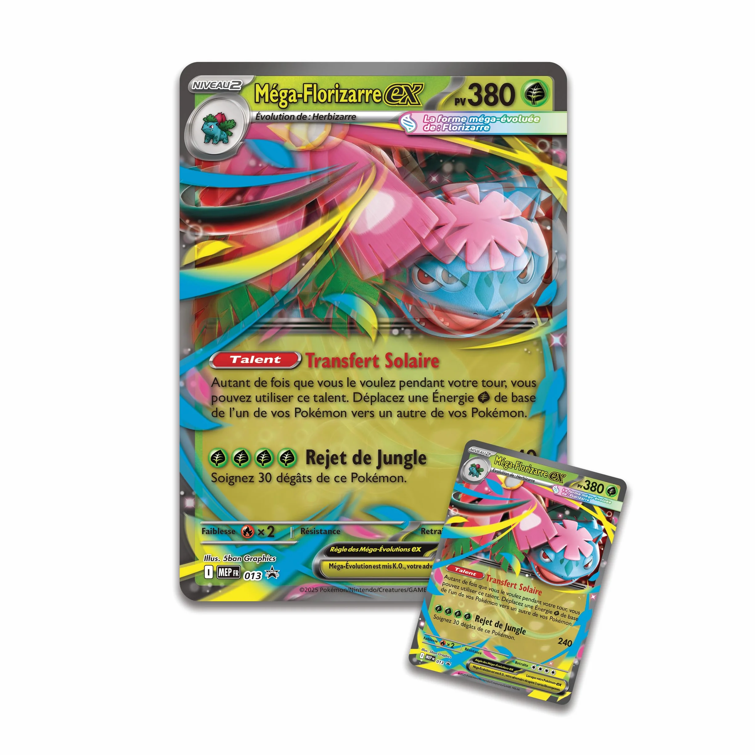 Pokémon : Kolekcja Premium Mega-Florizarre-ex (1 błyszcząca karta promocyjna, 1 duża soczewkowa karta promocyjna i 8 boosterów) od TCG Pokémon