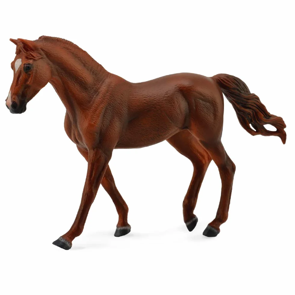 Collecta koń Missouri Trotte Mare kasztanowaty