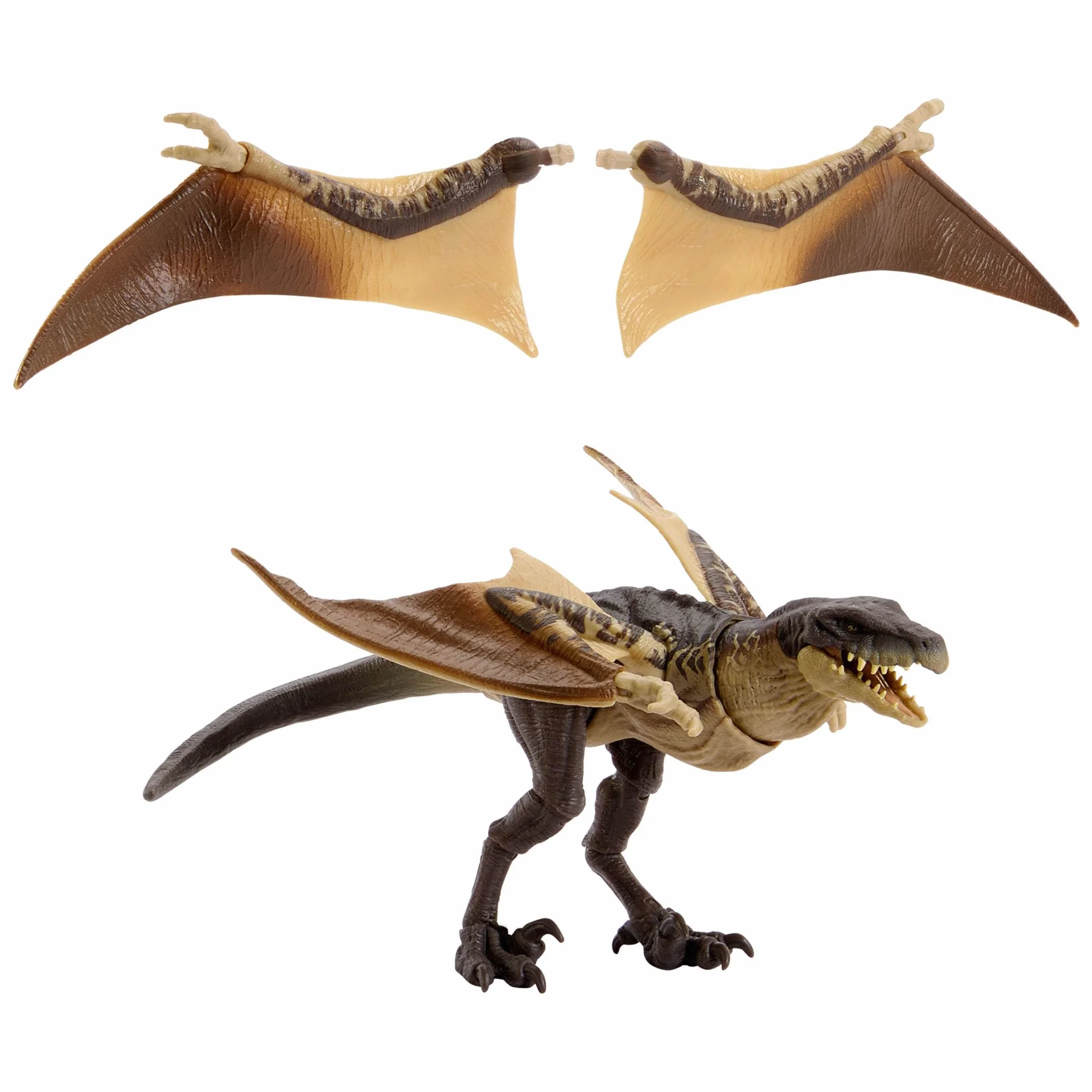 Mattel Jurassic World Kolekcja Hammonda Mutadon Dinozaur Figurka premium, realistyczne oczy, ruchome punkty i dodatkowe skrzydła, zabawka dla dzieci 8+, fanów i kolekcjonerów, JKM90