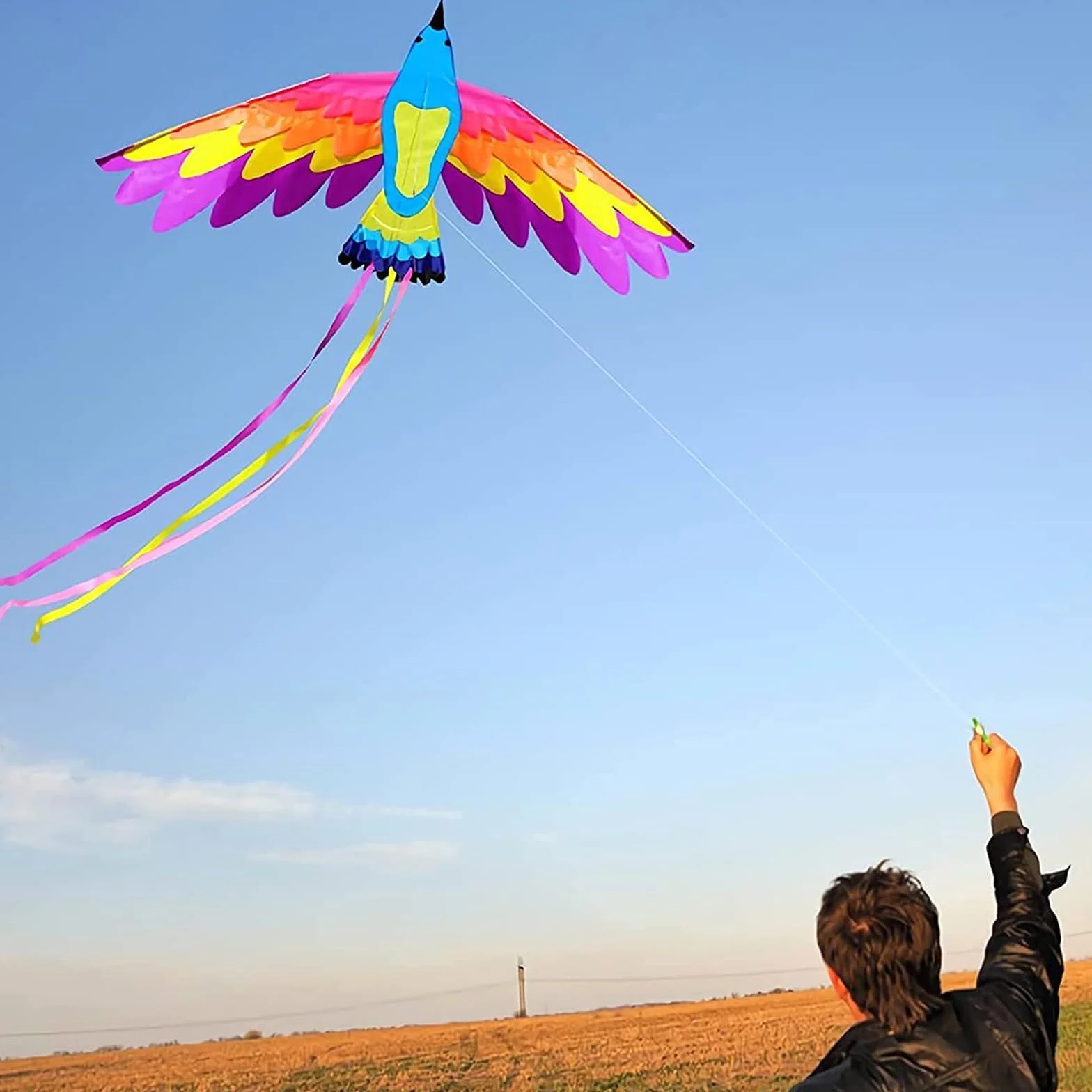 VIKY Phoenix latawiec dla dzieci i dorosłych, latawiec z uchwytem i liniami, 90 x 180 cm, duży smok plażowy, z ogonem o długości 150 cm, w zestawie sznurek latawca 100 m, łatwy do latania