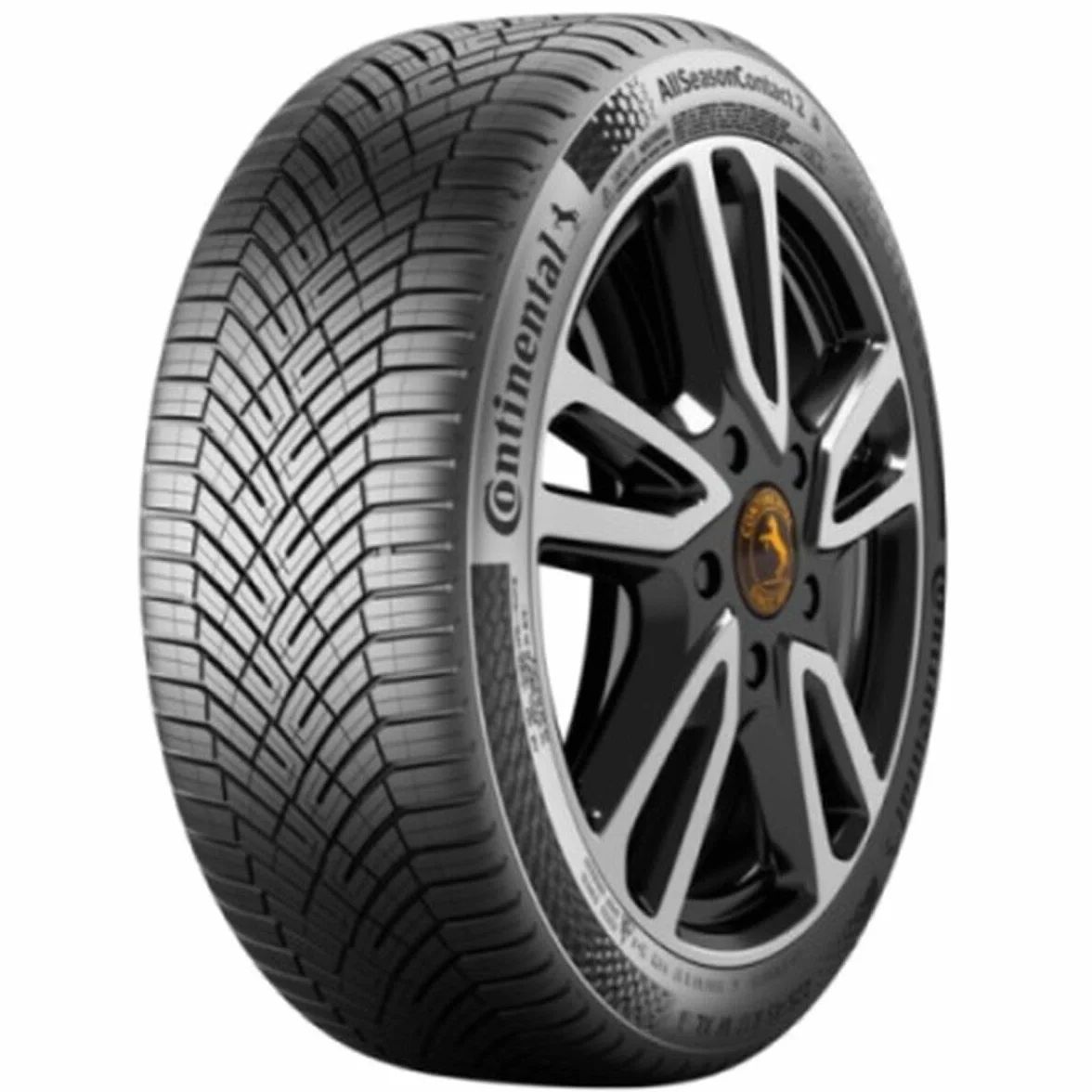 CONTINENTAL - AllSeasonContact 2-205/55 R 16-91V/C/B/70dB - opony całoroczne