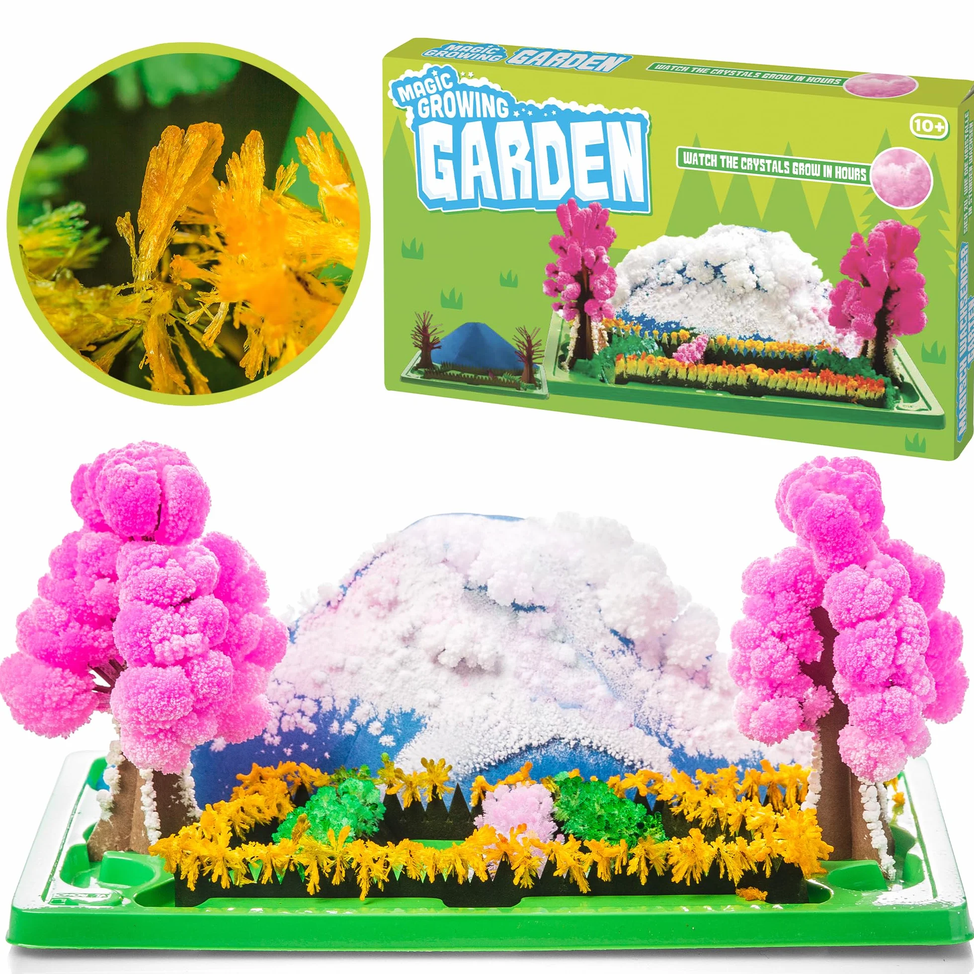 Tobar Magic Growing Garden Crystal Activity Kit