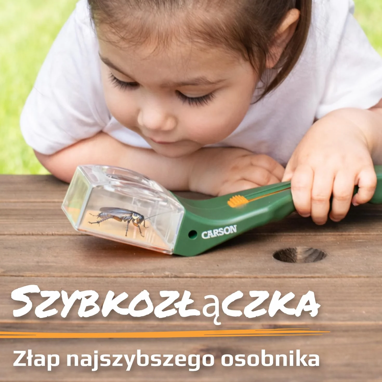 Carson BugView – wyposażone w lupę narzędzie do łapania i obserwacji insektów dla dzieci i dorosłych (HU-10), Zielone