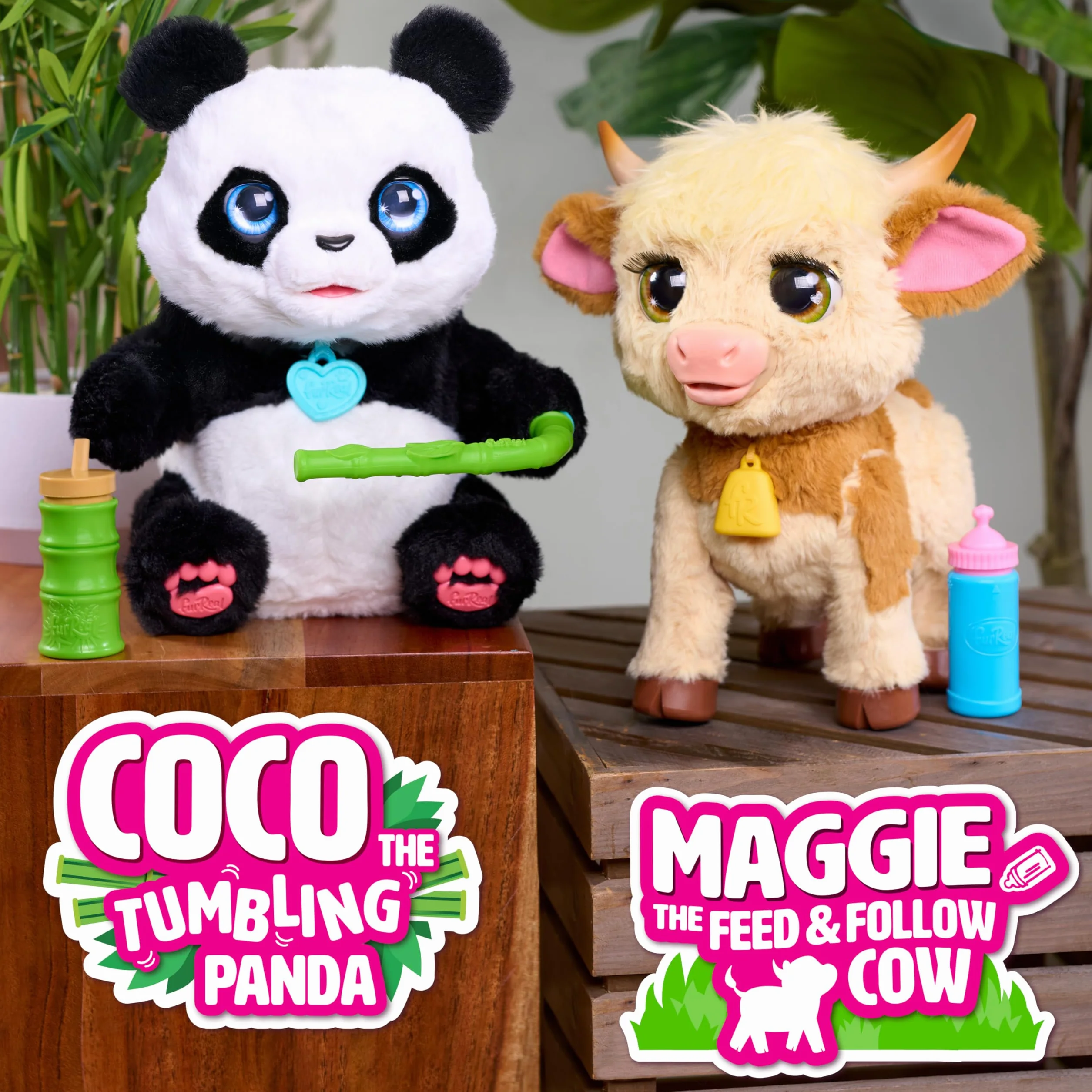 furReal Maggie the Feed & Follow Cow, 11 Inch Interactive Highland Mini Cow, for Boys and Girls, Ages 4 and up