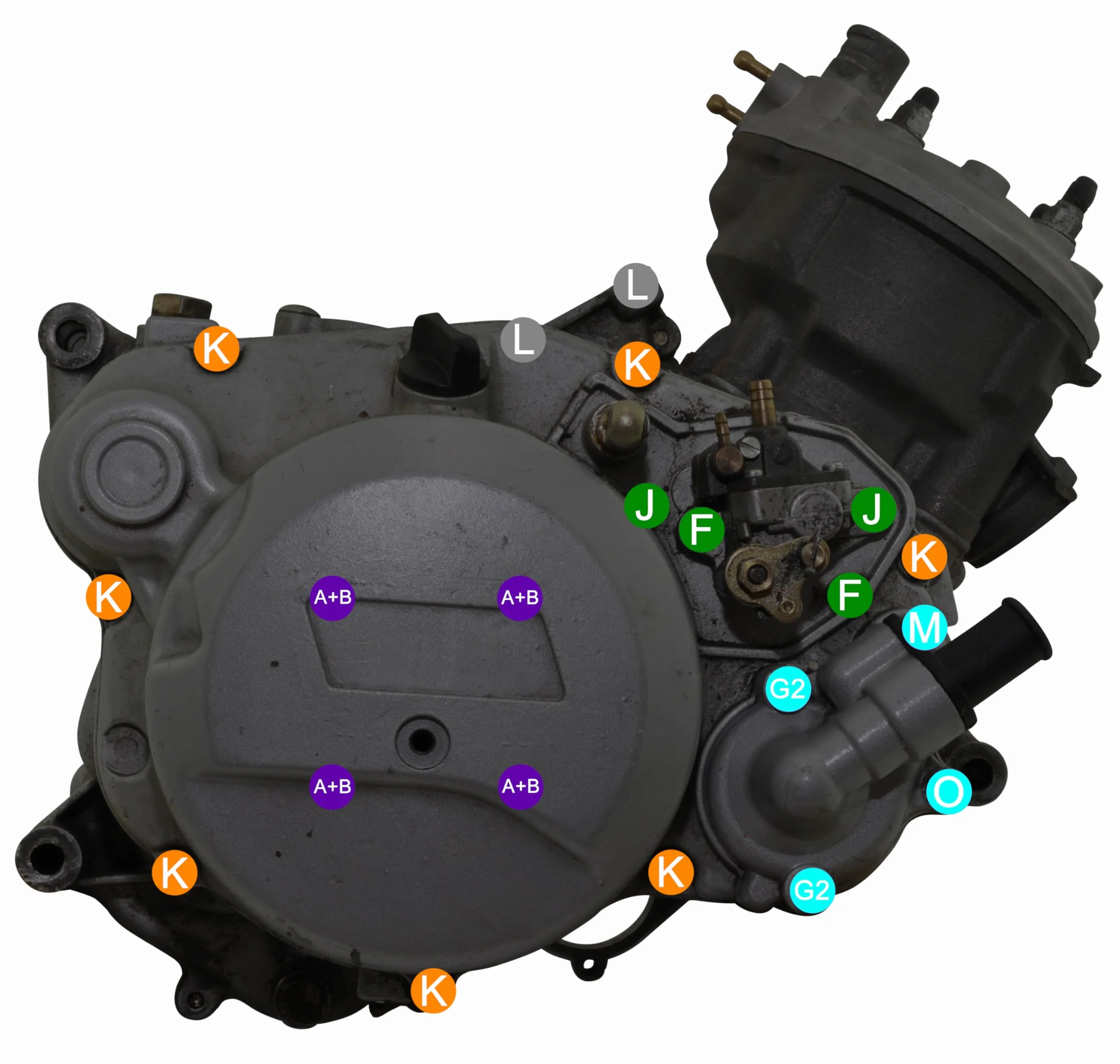 Easyboost Kompletny zestaw wkrętów 53 śruby CHC stal ocynkowana do silnika AM6 Moto 50 cm3 MBK Xlimit Xpower DT Aprilia RS XP6-XPS Beta Rieju TZR Sherco