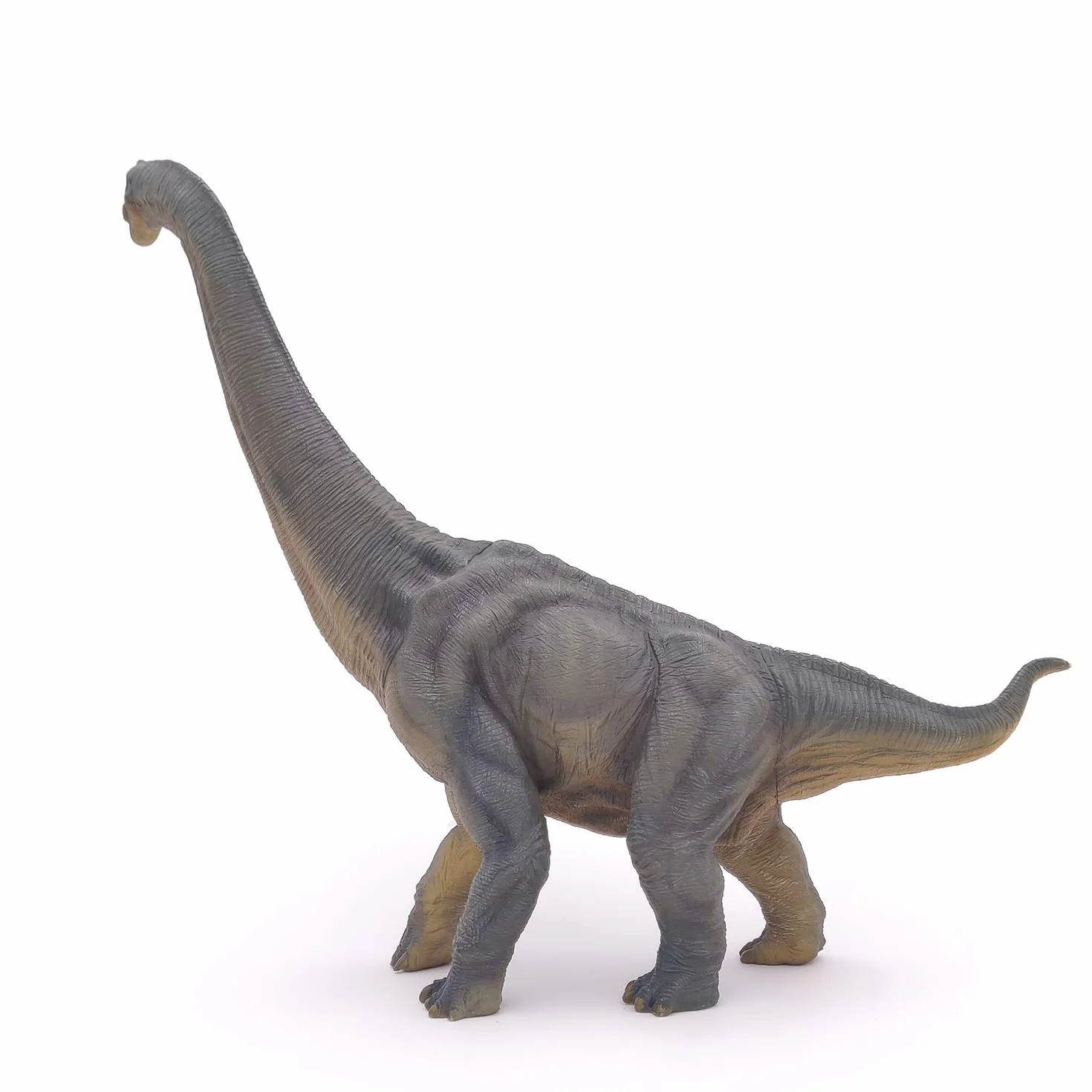 PAPO 55030 dinozaur, figurka brachiozaura, wielokolorowa