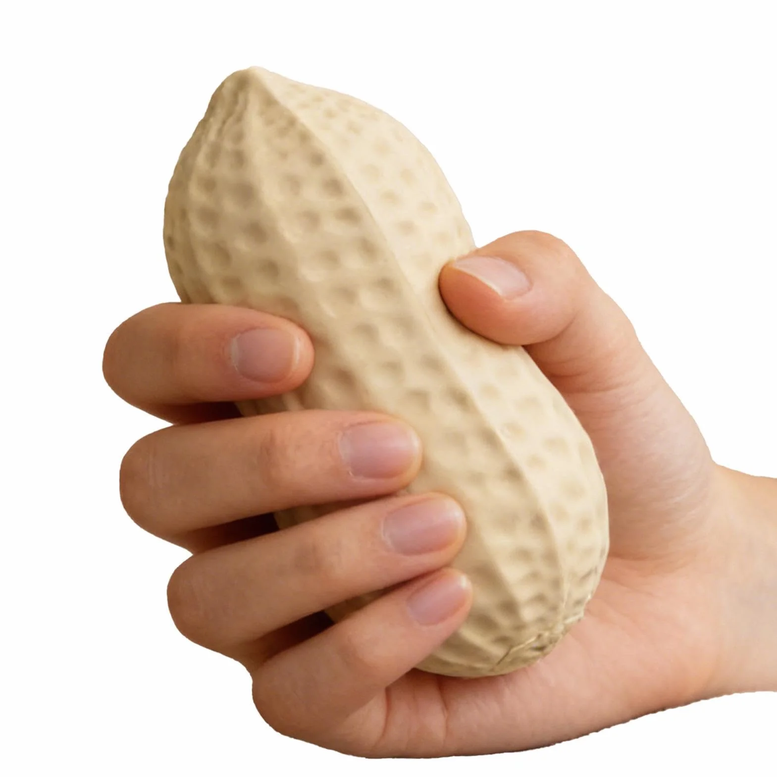 Fidget Toy - realistyczna gniotka z orzeszków ziemnych, uroczy ziemny przedmiot do zabawy sensorycznej o miękkiej, elastycznej fakturze, funkcja komfortowego nacisku dłoni o powolnym odbijaniu, idealn