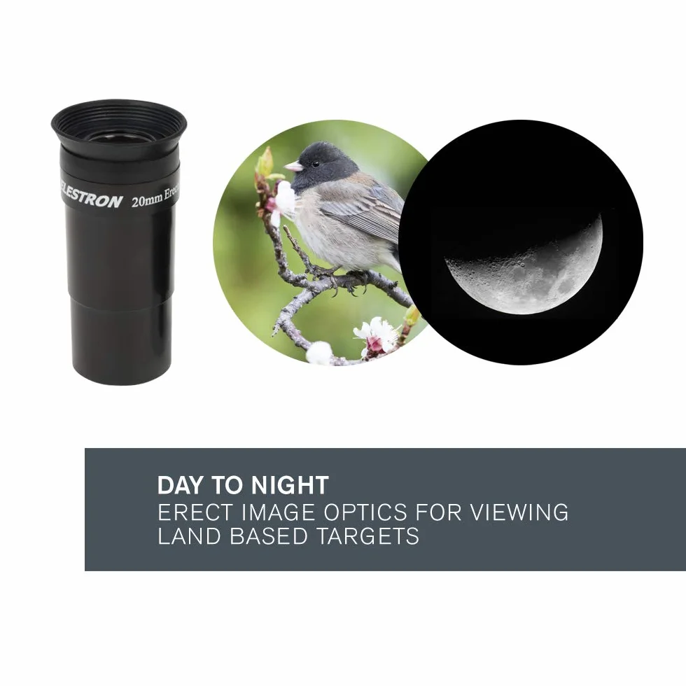 Celestron 31045 AstroMaster 130EQ Newtonian Reflector Telescope, Dark Blue - Newtonowski teleskop zwierciadlany Celestron 31045 AstroMaster 130EQ, ciemnoniebieski