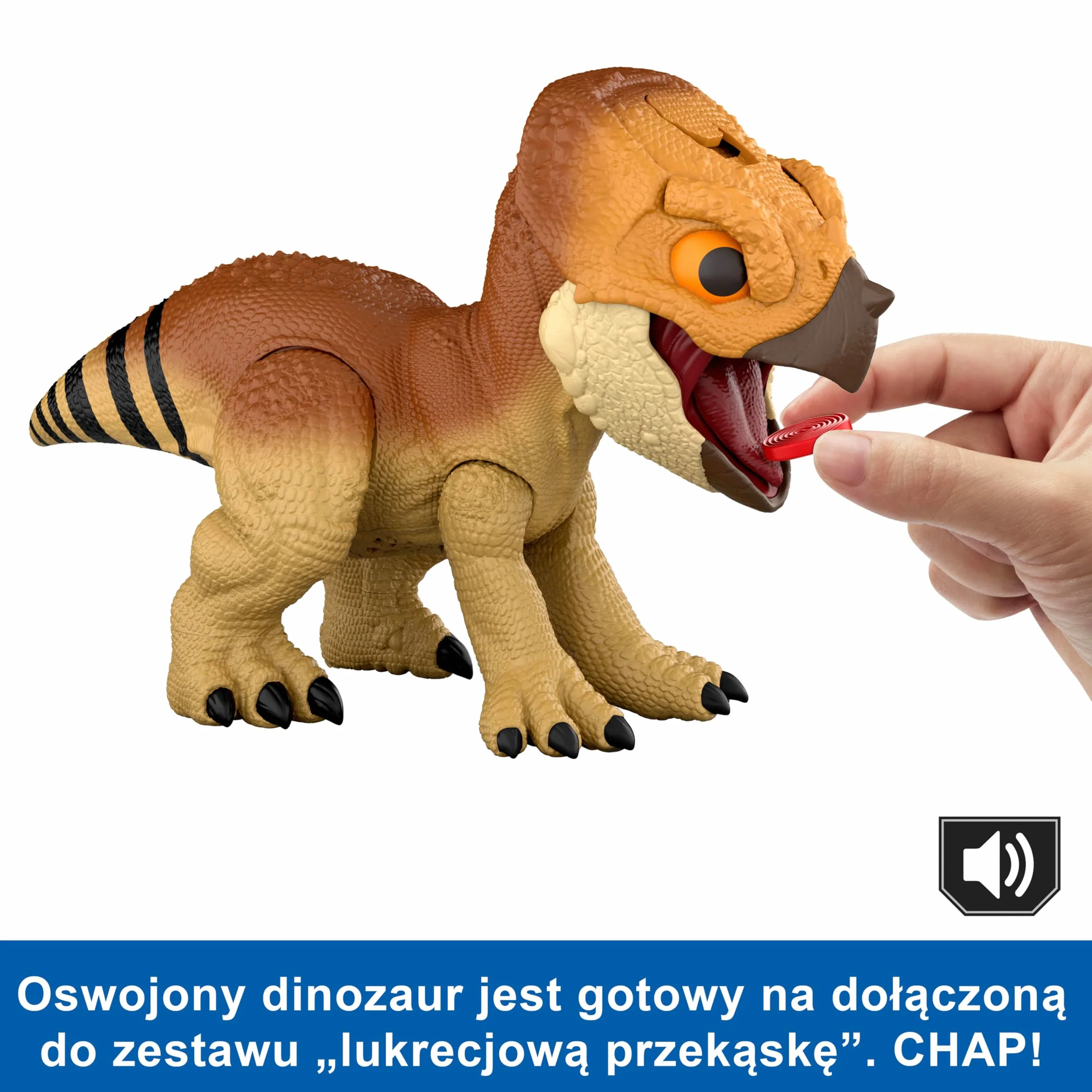 Mattel Jurassic World: Odrodzenie Aquilops Interaktywny przyjaciel dinozaur zabawka, figurka interaktywna z ruchem i dźwiękami, elektroniczna zabawka do „tresowania” z „jedzeniem”, JGC01