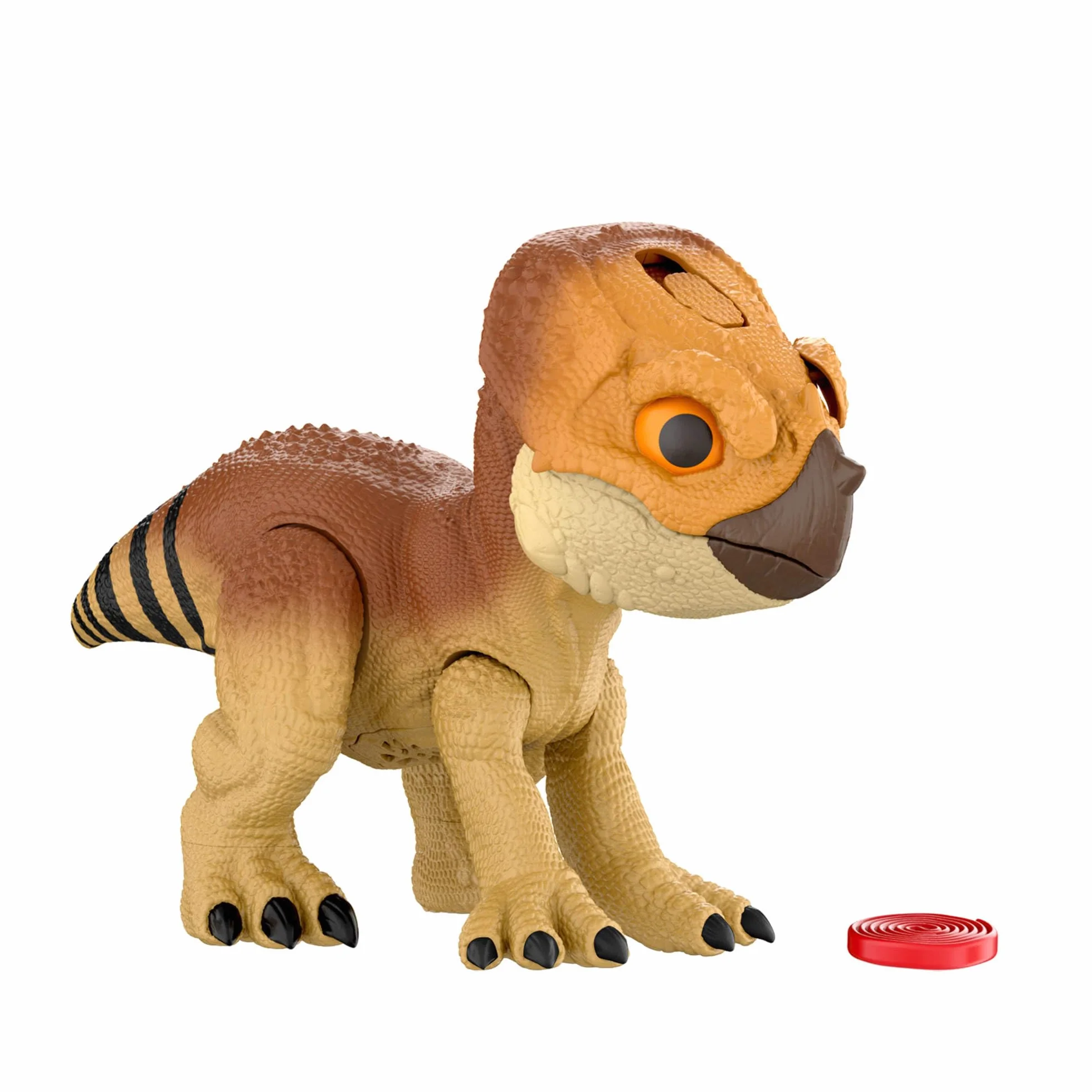 Mattel Jurassic World: Odrodzenie Aquilops Interaktywny przyjaciel dinozaur zabawka, figurka interaktywna z ruchem i dźwiękami, elektroniczna zabawka do „tresowania” z „jedzeniem”, JGC01