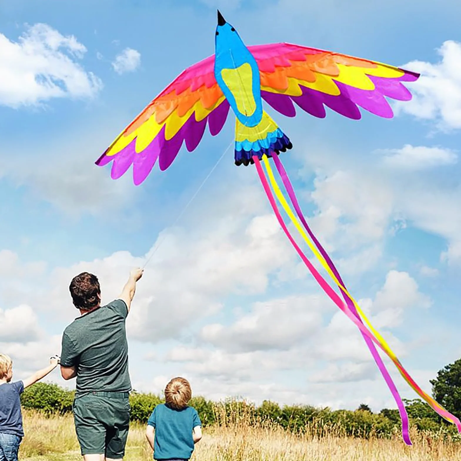 VIKY Phoenix latawiec dla dzieci i dorosłych, latawiec z uchwytem i liniami, 90 x 180 cm, duży smok plażowy, z ogonem o długości 150 cm, w zestawie sznurek latawca 100 m, łatwy do latania