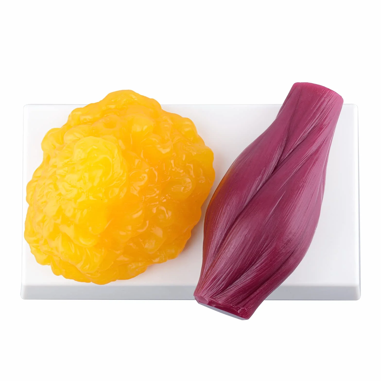 Replika tkanki tłuszczowej w ludzkim ciele 1lb bazą wyświetlającą i repliką mięśni 1lb, zachowaj sprawność i motywację odchudzania oraz przypomnienie dla studentów anatomii i fizjologii, analiza odżywiania