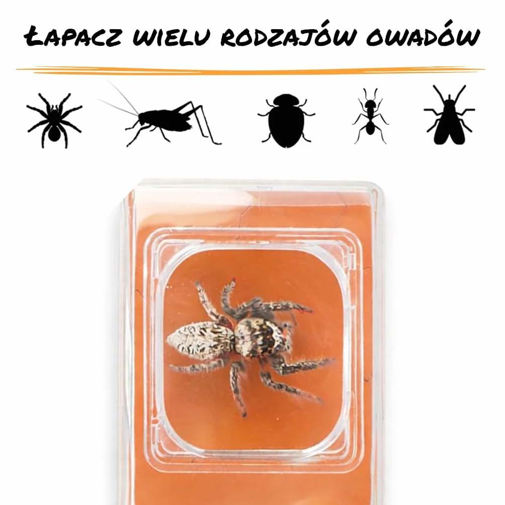 Carson BugView – wyposażone w lupę narzędzie do łapania i obserwacji insektów dla dzieci i dorosłych (HU-10), Zielone