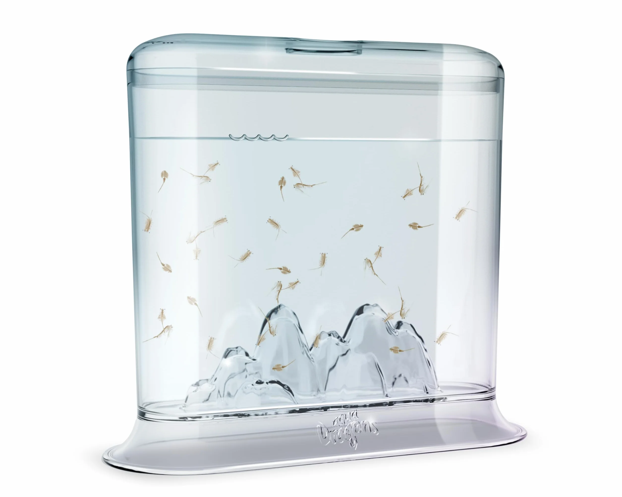 Aqua Dragon Underwater World Water Pet Kit, Stem Educational Toy Kit, Inkubacja i hodowla żywych zwierząt, jajka, jedzenie, łyżka, szkło powiększające, dla dzieci w wieku od 6 lat 17 x 6 x 18 cm