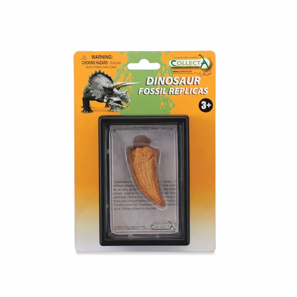 Collecta Ząb Tyranozaura w opakowaniu