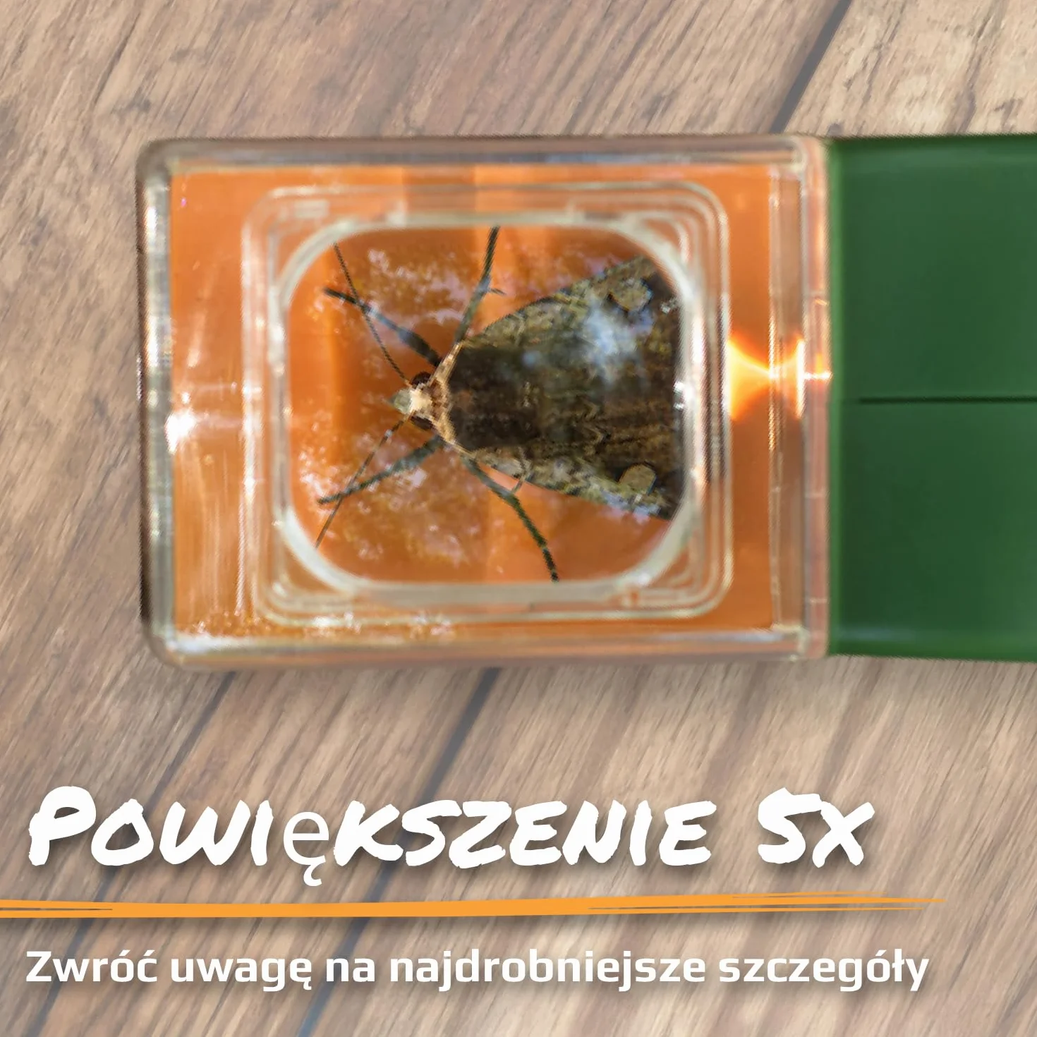Carson BugView – wyposażone w lupę narzędzie do łapania i obserwacji insektów dla dzieci i dorosłych (HU-10), Zielone