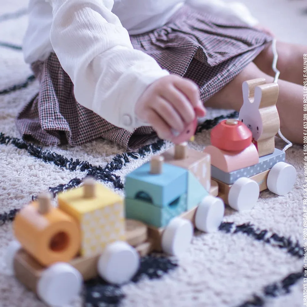 Janod - Pure Wooden Train - 2-in-1 Pull-Along Toy - Motor Skills Training and Manipulation - Water-based Paint - From 1 Year Old, J05157