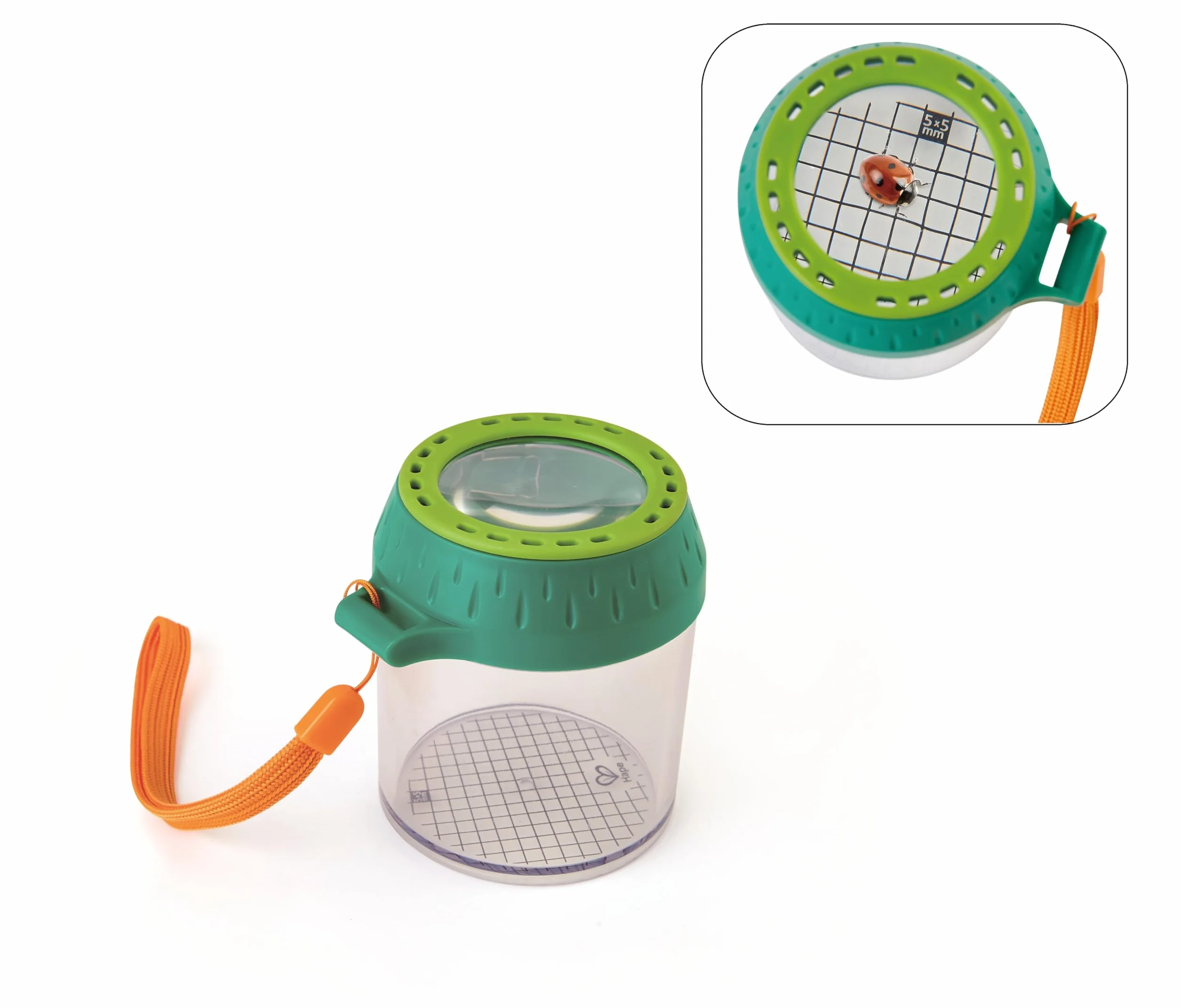 Hape Słoik na Owady, Wielokolorowy, od 4 lat