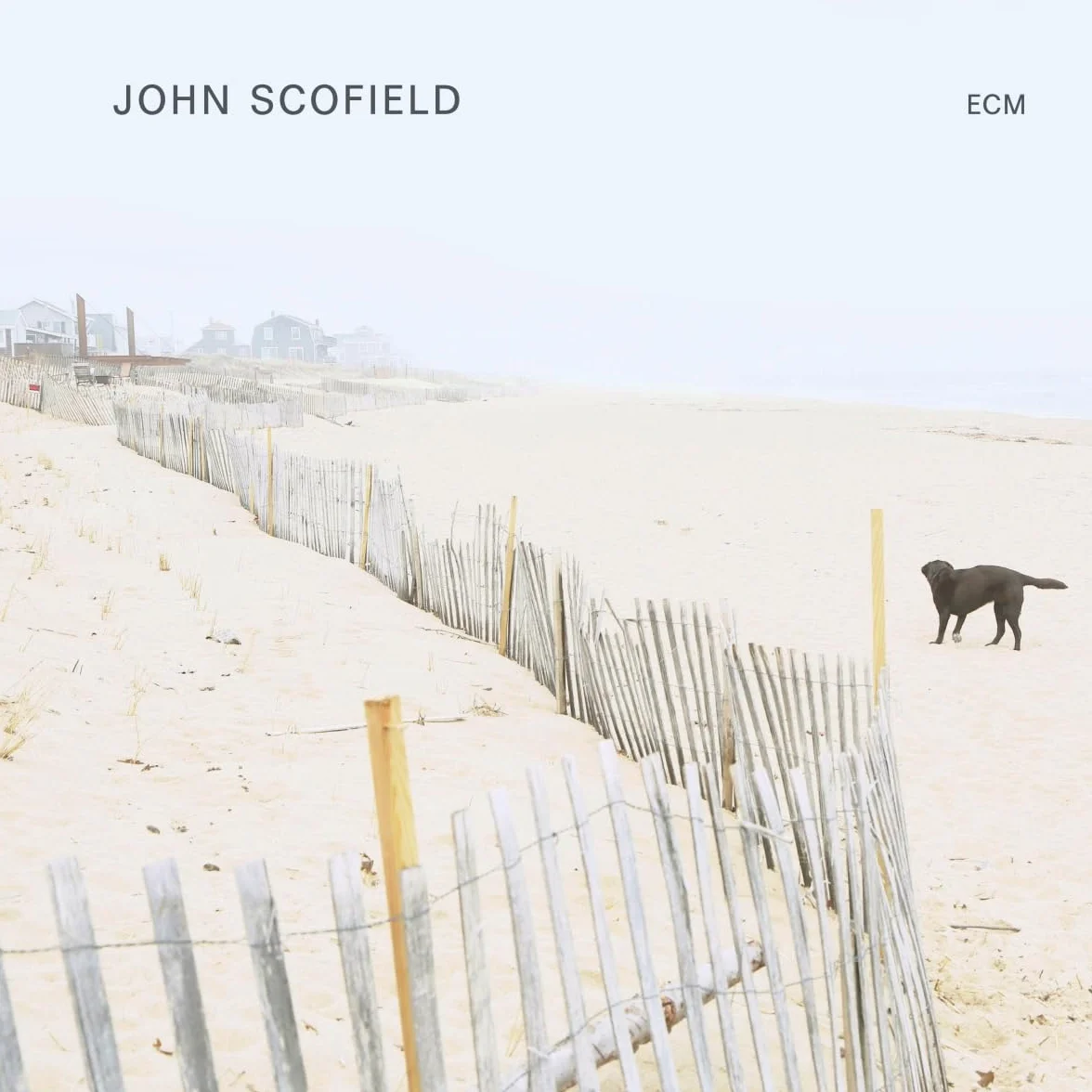 John Scofield