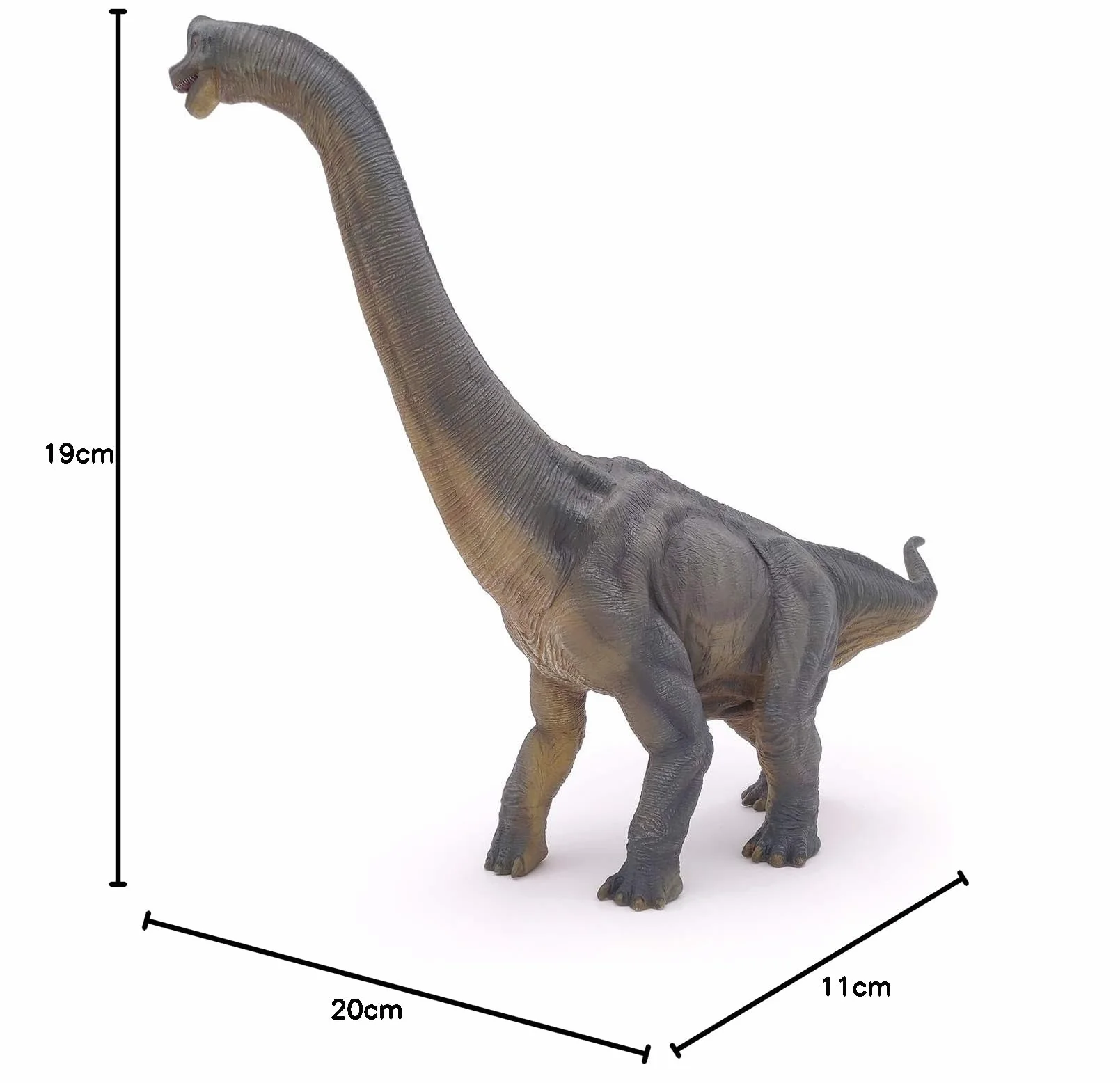 PAPO 55030 dinozaur, figurka brachiozaura, wielokolorowa